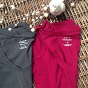 2 Banana Republic Timeless Tees